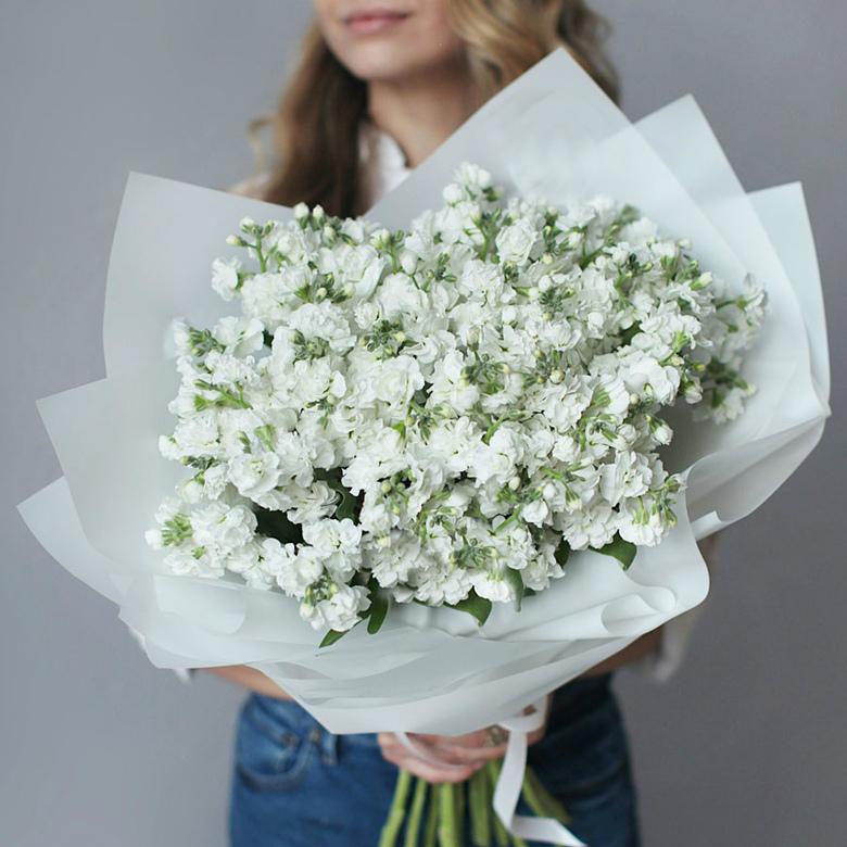 маттиола белая